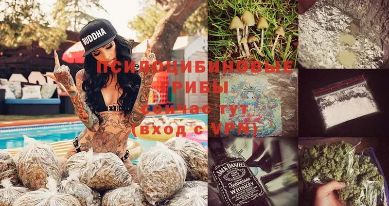 Псилоцибиновые грибы Magic Shrooms Вуктыл